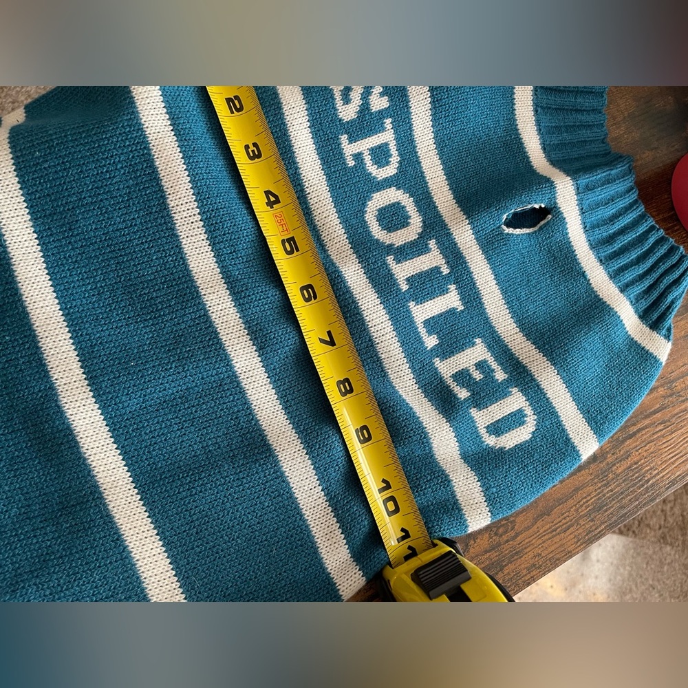 Pet sweater